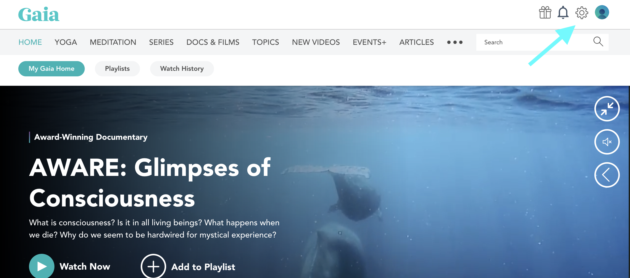 Screenshot_2022-12-21_at_2.05.54_PM.png
